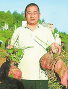 贵州佳里佳农业成长无限公司董事长张诚